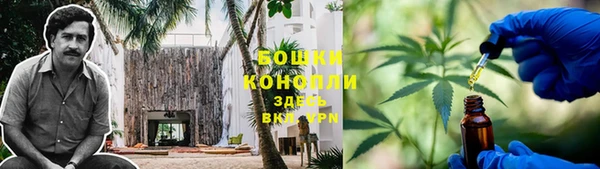 стаф Бронницы