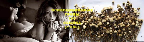 стаф Бронницы