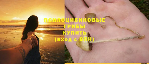 прущая мука Бугульма