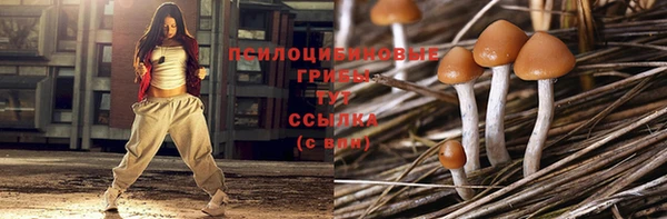 стаф Бронницы
