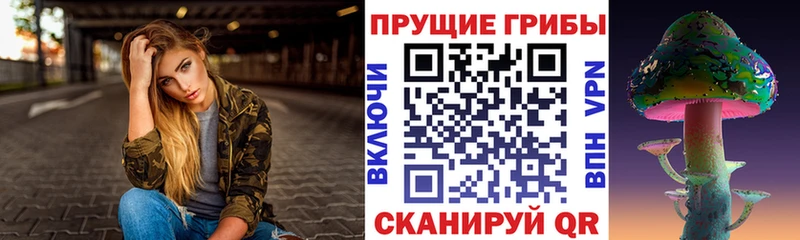 Псилоцибиновые грибы Psilocybe  Мещовск 